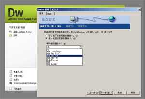 dw网站本地测试